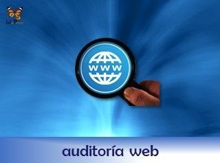 rotulo-servicio-auditoria-web-papillon-320x235-ok
