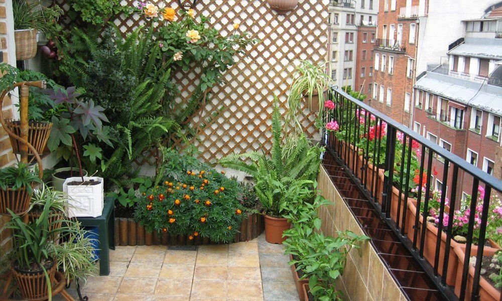 Atico de Novia Salcedo