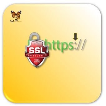 rotulo-servicio-certificado-ssl-web-papillon-320x237